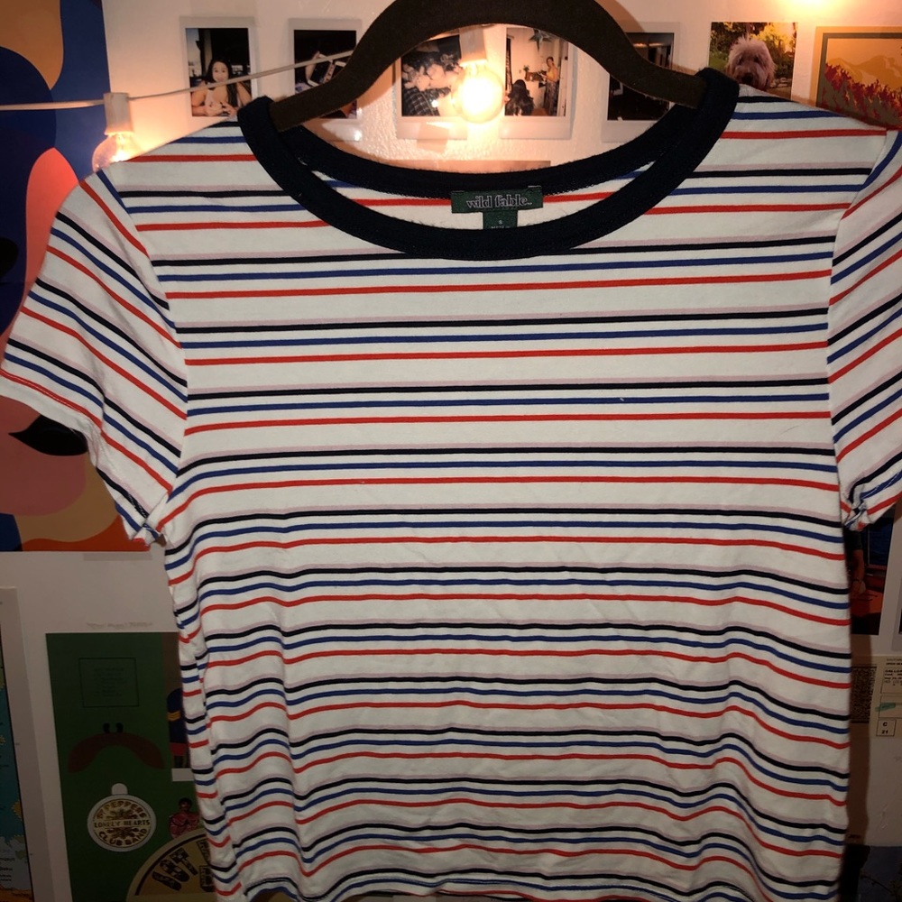 Multicolored Wild Fable Crop Top